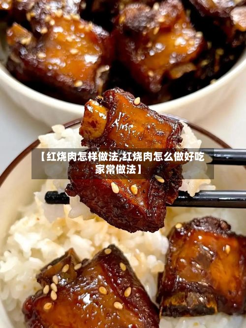 【红烧肉怎样做法,红烧肉怎么做好吃家常做法】-第2张图片