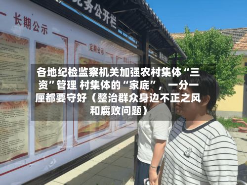 各地纪检监察机关加强农村集体“三资”管理 村集体的“家底”，一分一厘都要守好（整治群众身边不正之风和腐败问题）-第3张图片