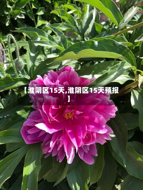 【淮阴区15天,淮阴区15天预报】