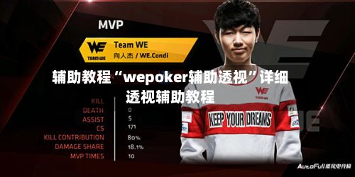 辅助教程“wepoker辅助透视”详细透视辅助教程-第2张图片