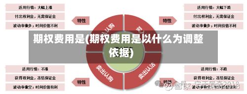 期权费用是(期权费用是以什么为调整依据)-第3张图片
