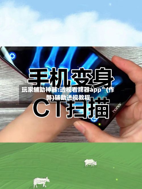 玩家辅助神器:透视看牌器app”(作弊)辅助透视教程-第2张图片
