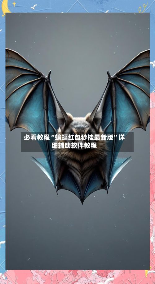 必看教程“蝙蝠红包秒挂最新版”详细辅助软件教程-第2张图片