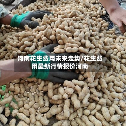 河南花生费用未来走势/花生费用最新行情报价河南