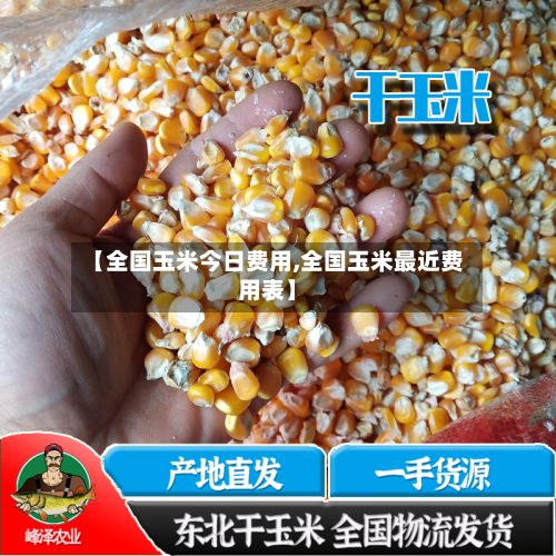 【全国玉米今日费用,全国玉米最近费用表】-第2张图片