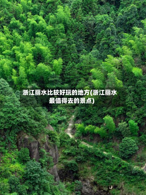 浙江丽水比较好玩的地方(浙江丽水最值得去的景点)-第2张图片