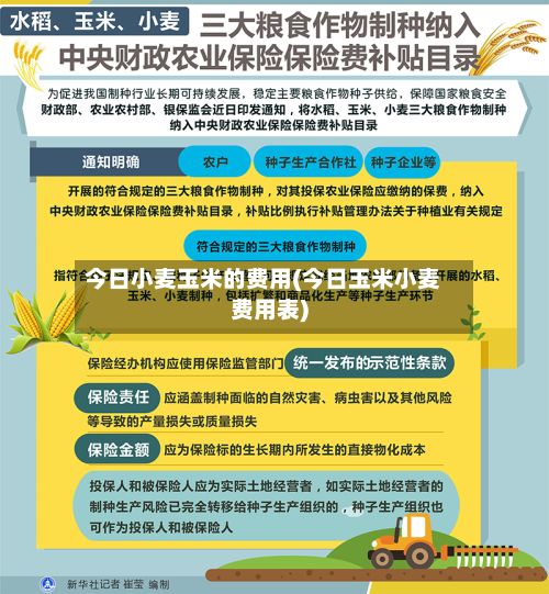今日小麦玉米的费用(今日玉米小麦费用表)-第2张图片