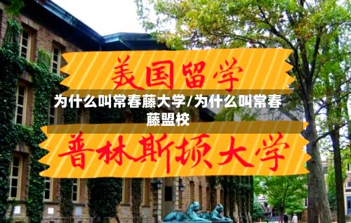 为什么叫常春藤大学/为什么叫常春藤盟校-第3张图片