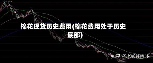 棉花现货历史费用(棉花费用处于历史底部)