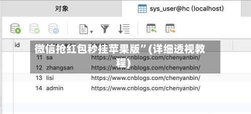 微信抢红包秒挂苹果版	”(详细透视教程)-第3张图片