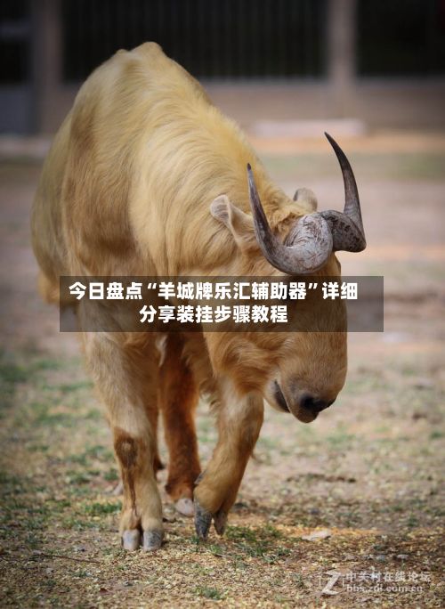 今日盘点“羊城牌乐汇辅助器”详细分享装挂步骤教程-第2张图片