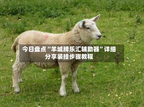 今日盘点“羊城牌乐汇辅助器”详细分享装挂步骤教程-第3张图片