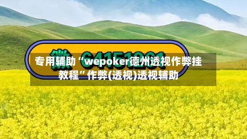 专用辅助“wepoker德州透视作弊挂教程”作弊(透视)透视辅助-第2张图片
