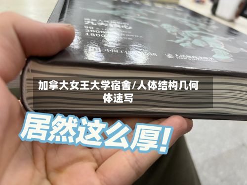 加拿大女王大学宿舍/人体结构几何体速写-第2张图片