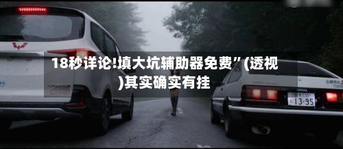 18秒详论!填大坑辅助器免费	”(透视)其实确实有挂-第3张图片