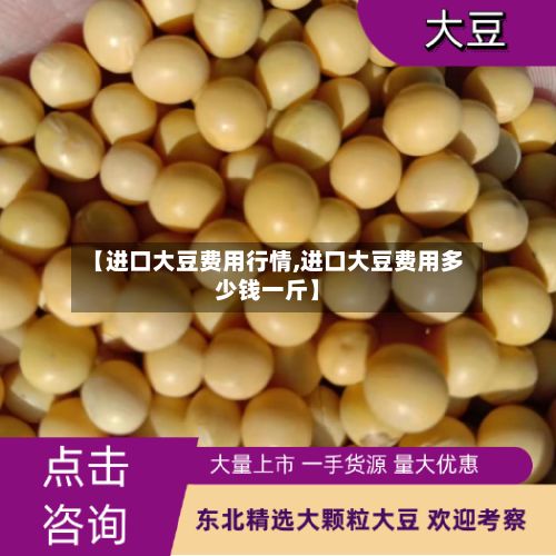 【进口大豆费用行情,进口大豆费用多少钱一斤】