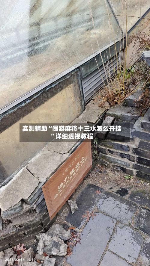 实测辅助“闽游麻将十三水怎么开挂	”详细透视教程-第2张图片