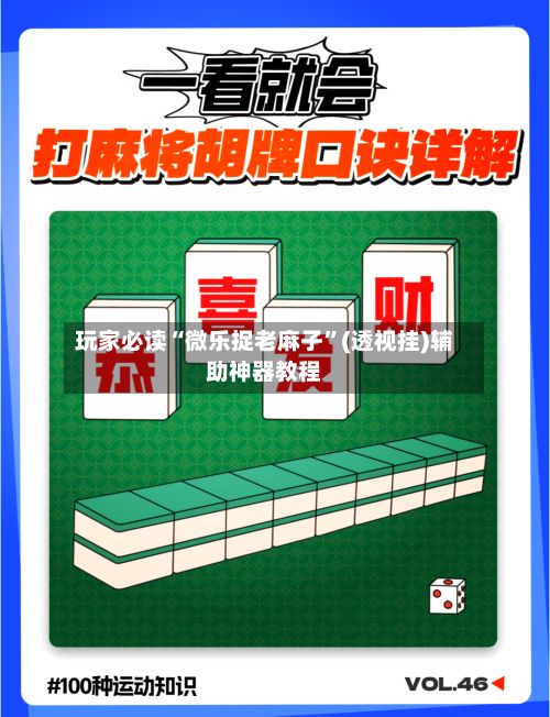 玩家必读“微乐捉老麻子”(透视挂)辅助神器教程-第2张图片