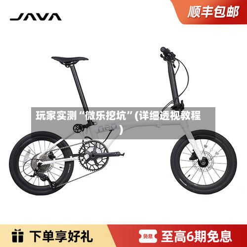 玩家实测“微乐挖坑”(详细透视教程)-第2张图片