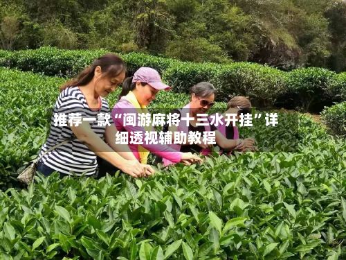 推荐一款“闽游麻将十三水开挂”详细透视辅助教程-第3张图片