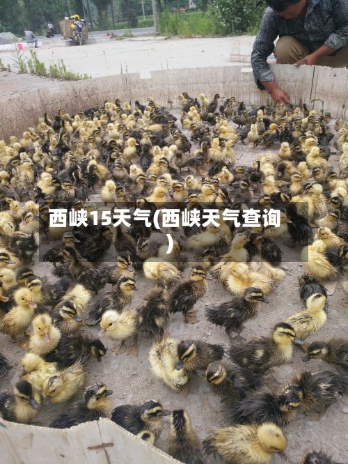 西峡15天气(西峡天气查询)-第2张图片