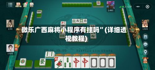 微乐广西麻将小程序有挂吗”(详细透视教程)-第3张图片