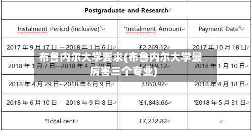布鲁内尔大学要求(布鲁内尔大学最厉害三个专业)-第2张图片