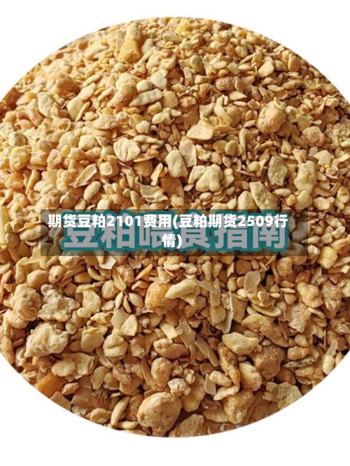 期货豆粕2101费用(豆粕期货2509行情)-第3张图片