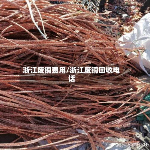 浙江废铜费用/浙江废铜回收电话-第2张图片