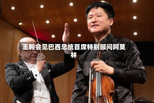 王毅会见巴西总统首席特别顾问阿莫林