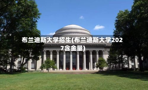 布兰迪斯大学招生(布兰迪斯大学2027含金量)