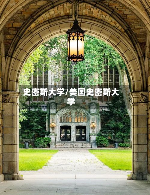 史密斯大学/美国史密斯大学