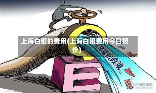 上海白银的费用(上海白银费用今日报价)