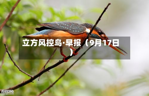 立方风控鸟·早报（9月17日）