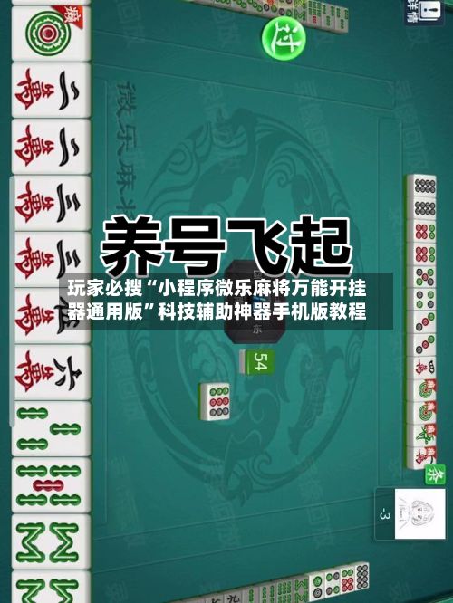 玩家必搜“小程序微乐麻将万能开挂器通用版”科技辅助神器手机版教程-第2张图片