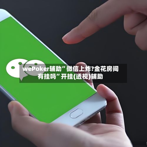 wePoker辅助”微信上炸?金花房间有挂吗	”开挂(透视)辅助-第3张图片