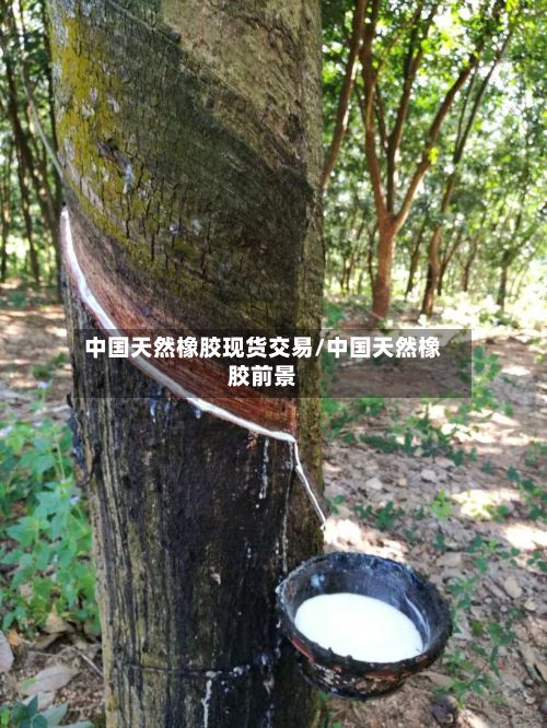 中国天然橡胶现货交易/中国天然橡胶前景