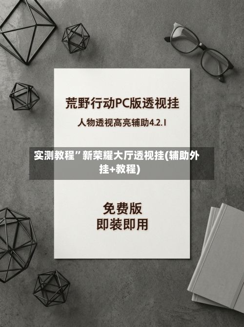 实测教程”新荣耀大厅透视挂(辅助外挂+教程)-第2张图片