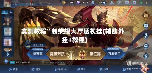 实测教程”新荣耀大厅透视挂(辅助外挂+教程)