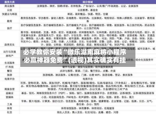 必学教你安装“微乐湖南麻将小程序必赢神器免费”(透视)其实确实有挂-第2张图片