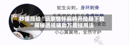 秒懂经验“玩家情怀麻将开挂器下载”揭秘透视辅助万能挂用法-第2张图片