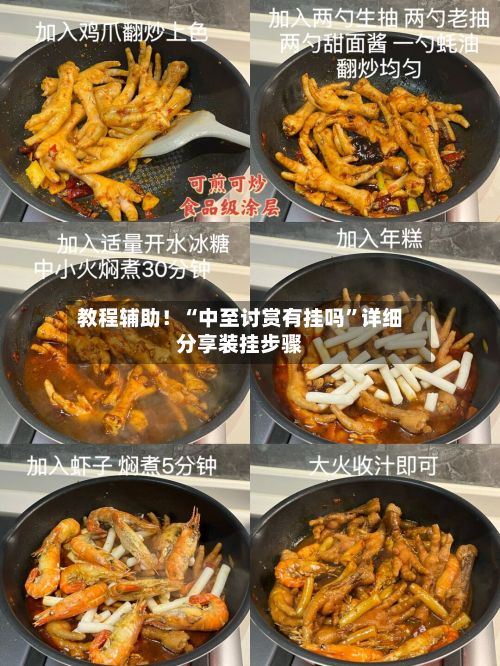 教程辅助！“中至讨赏有挂吗	”详细分享装挂步骤-第2张图片