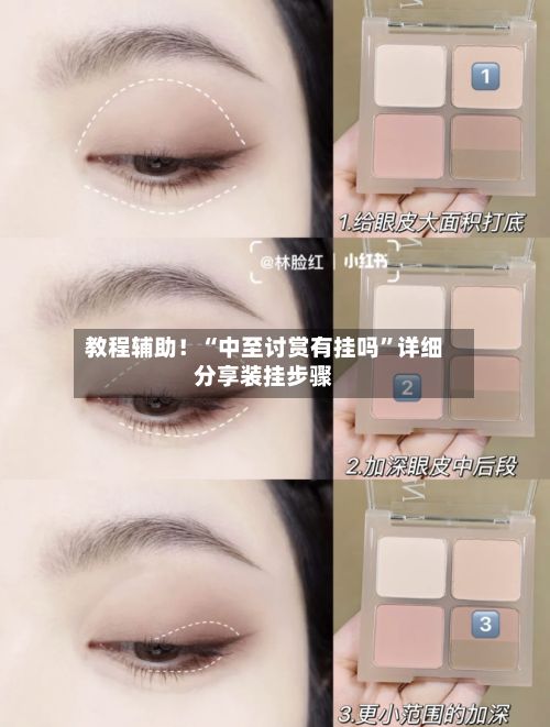 教程辅助！“中至讨赏有挂吗”详细分享装挂步骤
