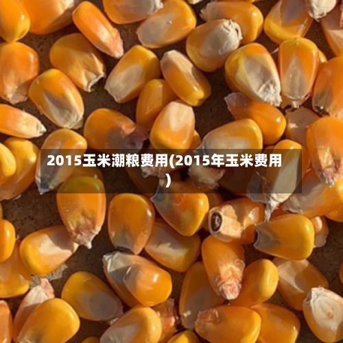 2015玉米潮粮费用(2015年玉米费用)-第2张图片