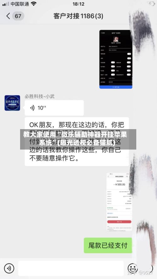 教大家使用“微乐辅助神器开挂苹果系统”(曝光透视必备猫腻)