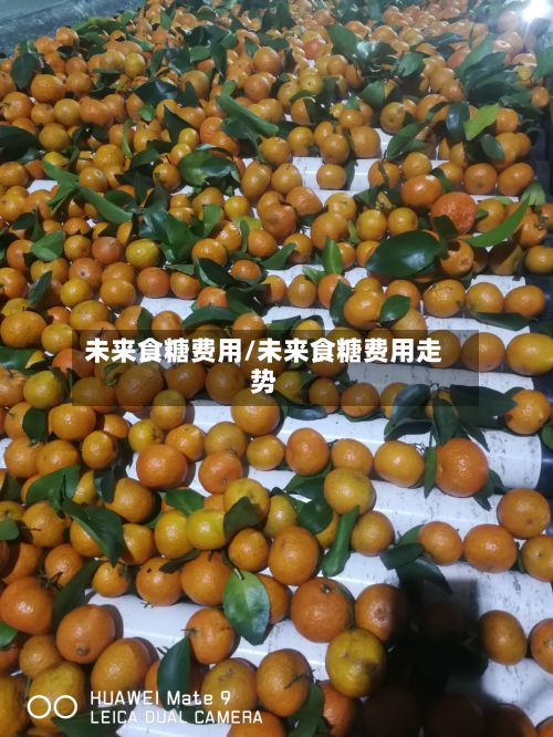 未来食糖费用/未来食糖费用走势