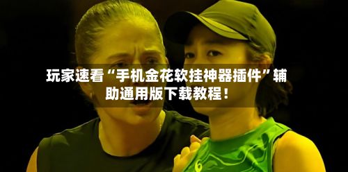 玩家速看“手机金花软挂神器插件”辅助通用版下载教程！-第2张图片