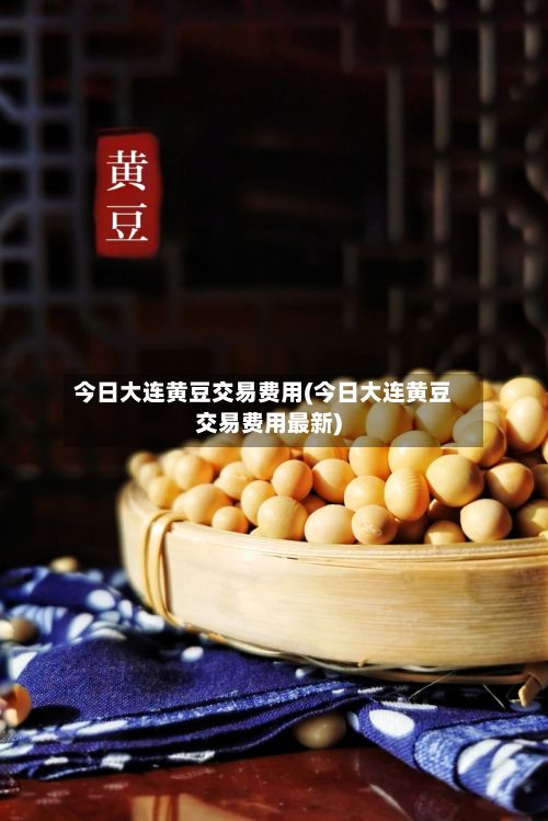 今日大连黄豆交易费用(今日大连黄豆交易费用最新)-第2张图片