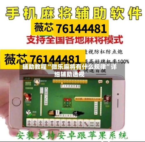 辅助教程“微乐麻将有什么规律”详细辅助透视-第2张图片