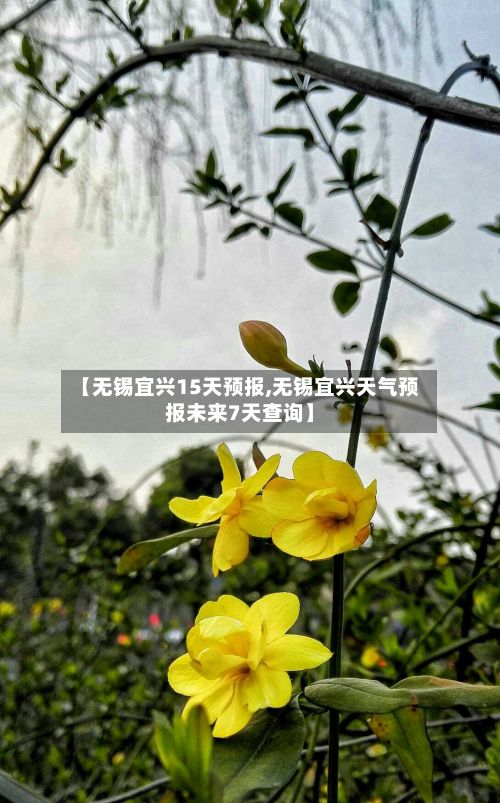 【无锡宜兴15天预报,无锡宜兴天气预报未来7天查询】-第2张图片